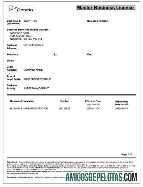 em branco Canadá Ontário Master Business License modelo Word e PDF